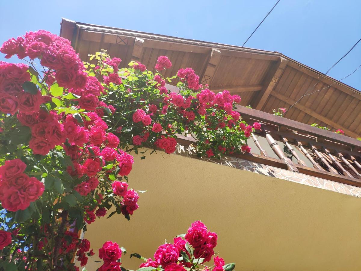 Casa Piatra Craiului Hotel Zarnesti Exterior photo