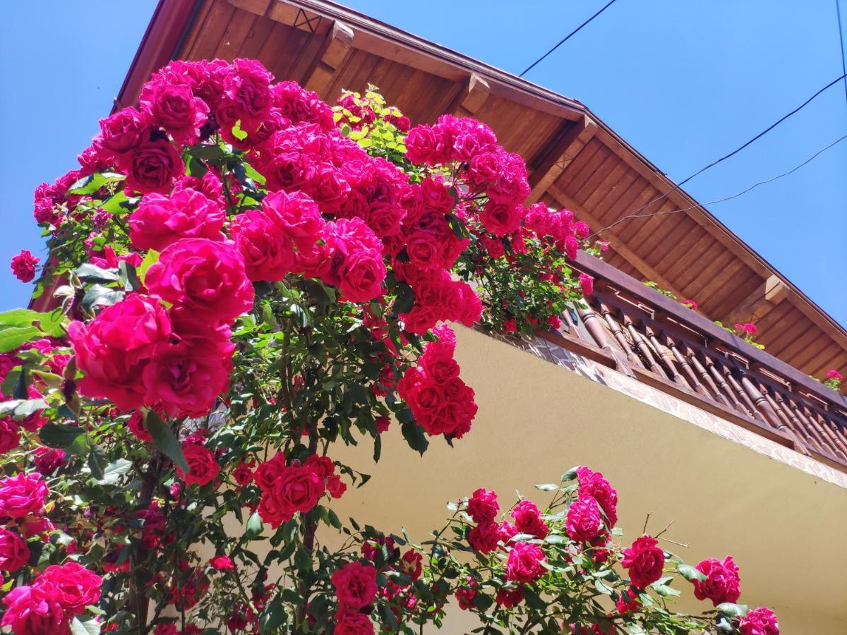 Casa Piatra Craiului Hotel Zarnesti Exterior photo